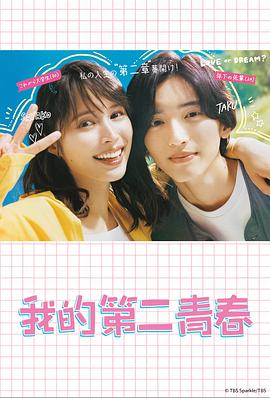 洛龙区网站优化排行榜